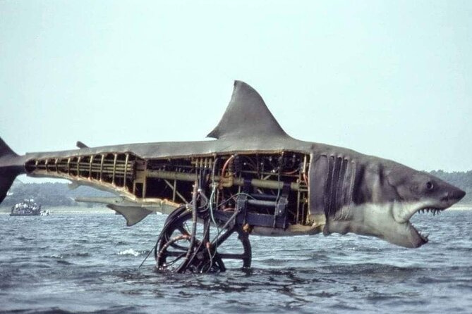 4 Hours Hop-On Hop-Off Jawsome Jaws Tour - Frequently Asked Questions