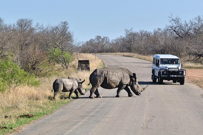 5 Day All Incl. Private Kruger Park Safari With Optional Panorama - Pricing Information