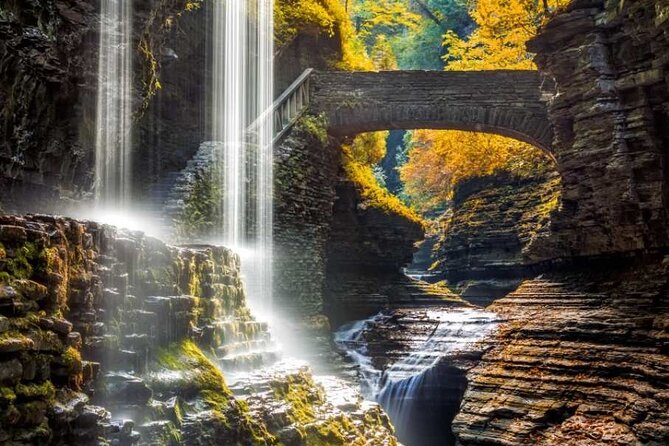5-Day Tour of New York City, Washington D.C and Niagara Falls - Meal and Activity Options