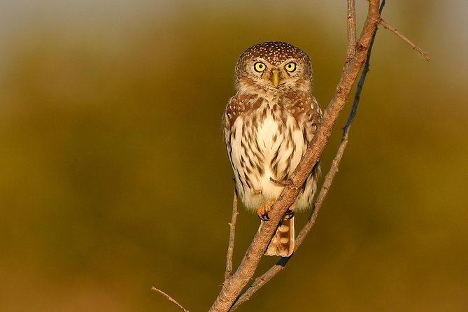 5 Day Wildlife Photographic Safari - Kruger National Park - B1 Photo Safaris - Photography Equipment