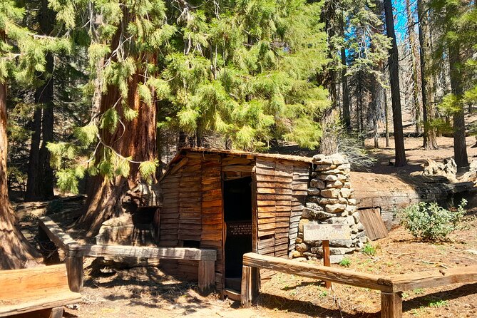 5 Star Rated Sequoia National Park Tour - Reviews and Recommendations