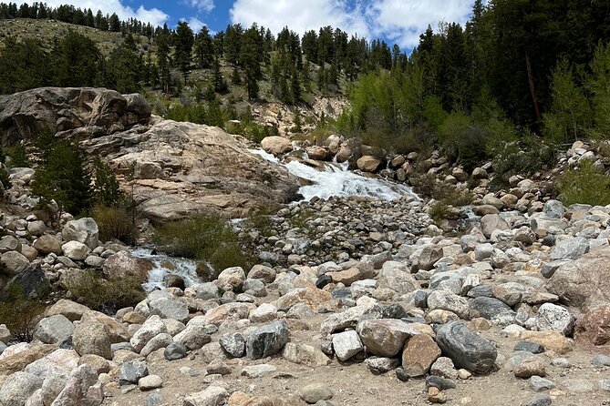 6 Day Tour: Grand Teton, Yellowstone, Rocky Mountain, and Colorado Hot Spring - Health and Safety Guidelines