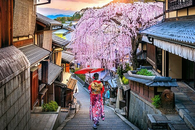 6 Days Japan Kanto, Kansai Deluxe Tour - Inclusions and Exclusions