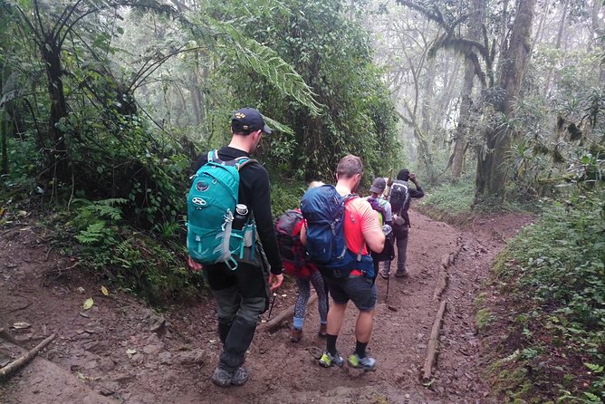 6 Days Rongai Route Climbing Mt.Kilimanjaro - Health and Safety Guidelines