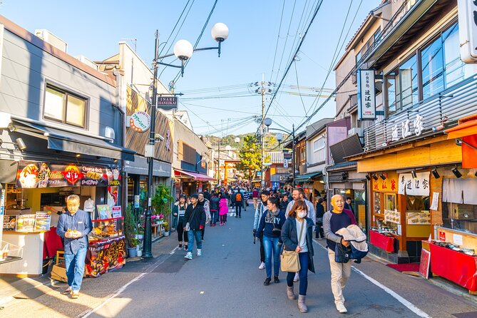 6-Hour Private Walking Cultural Tour in Kyoto - Taking in the Peaceful Zen Gardens
