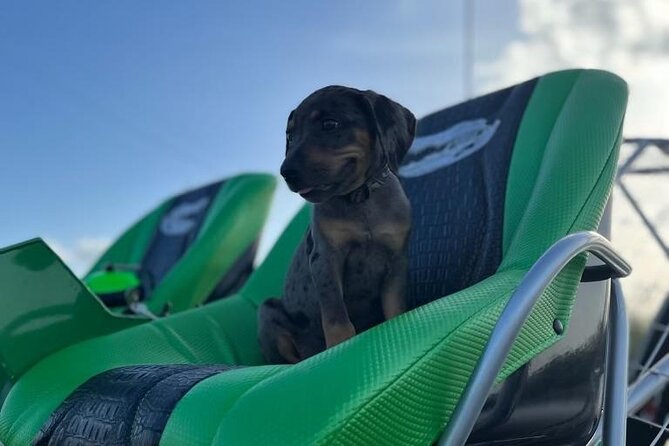 60 Min Small Group Everglades Airboat Ride in Miami - Recommended Attire and Accessories