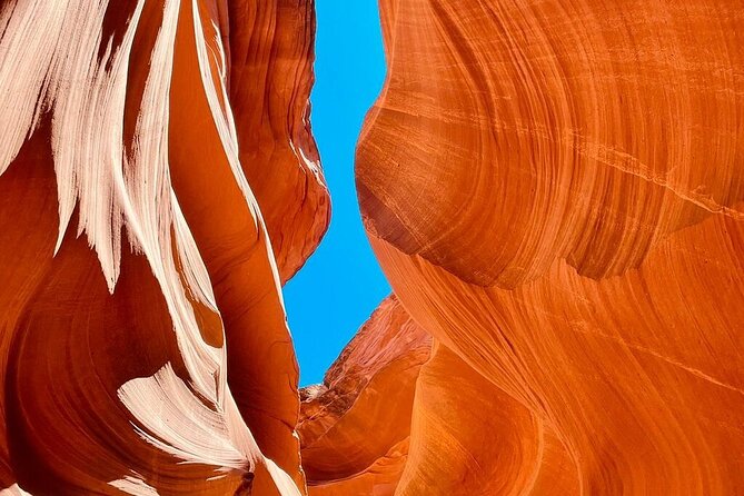 7 Days Tour of Los Angeles, Vegas, Yellowstone and Salt Lake City - Transportation Details