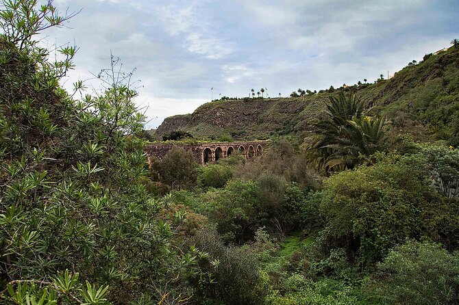 7-hour Hop on Hop off Tour of Historic Gran Canaria - Traveler Guidelines