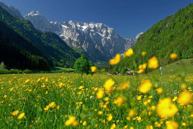 8-Day Self Guided Cycling Tour in Slovenia From Kamnik - Rental Bike Options