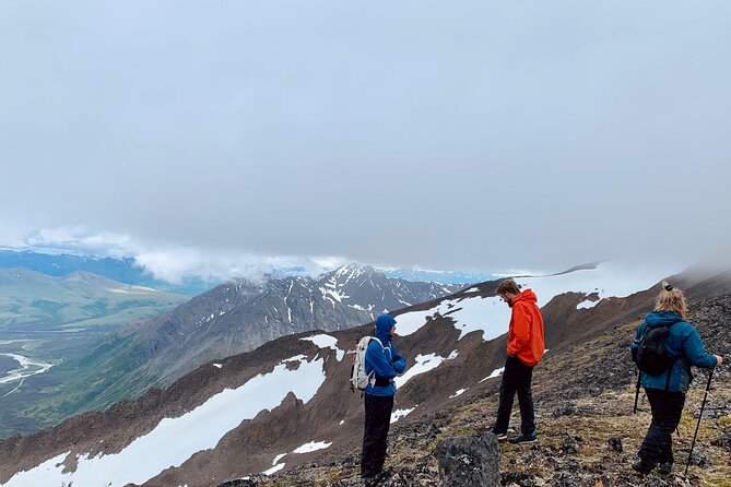 8 Hour Denali Mountainous Hiking Activity - Safety Precautions