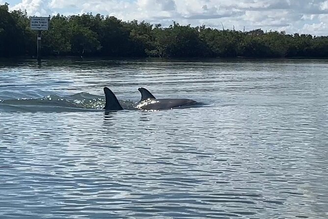 8-Hour Jungle Tour and Lagoon Passage to the Ocean in Fort Pierce - Accessibility and Requirements