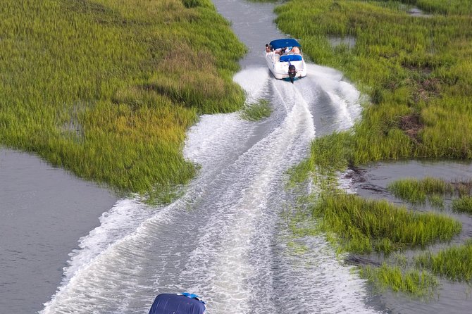 90-Minute Dolphin and Nature Tour of Hilton Head - Booking Information and Pricing