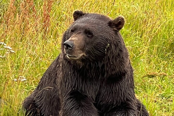 A Guided Alaskan Escape Review - Booking and Cancellation Policy