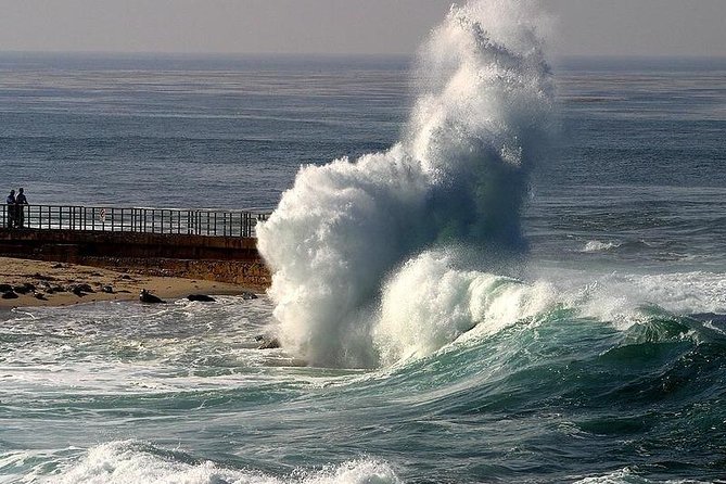 A Local's Guide to La Jolla's Sights: A Self-Guided Urban Stroll - Indulging in Upscale Dining and Shopping