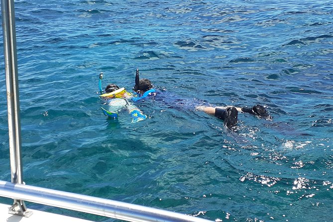 A Unique Private Snorkel Tour of Key Largo - Meeting and Arrival Details