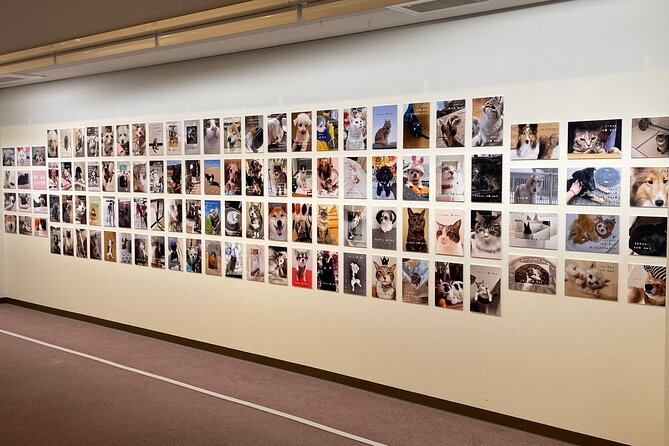 Admission Ticket to Imai Museum, Mizuhiki Exhibition & Cat Dog Photo Exhibition - Confirmation and Additional Info