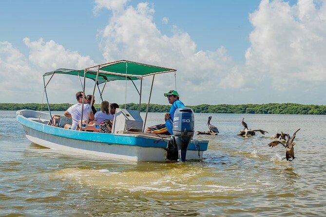 Adventour Day: Coloradas and Rio Lagartos Excursion From Cancun! - Customer Reviews and Ratings