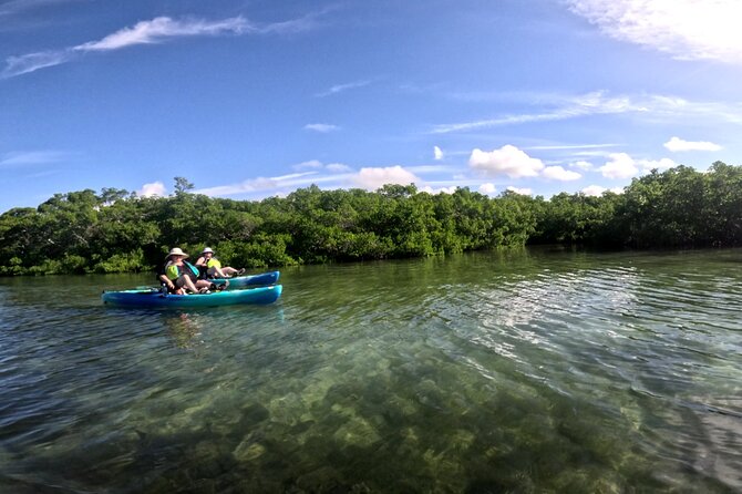 Adventure and Wildlife Watch Kayak Rentals in Sarasota - Accessibility and Participation Guidelines