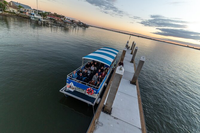 Adventure Boat Tours - One Hour Dolphin/Eco/History/Sightseeing Boat Tour - Highlights of the Tour