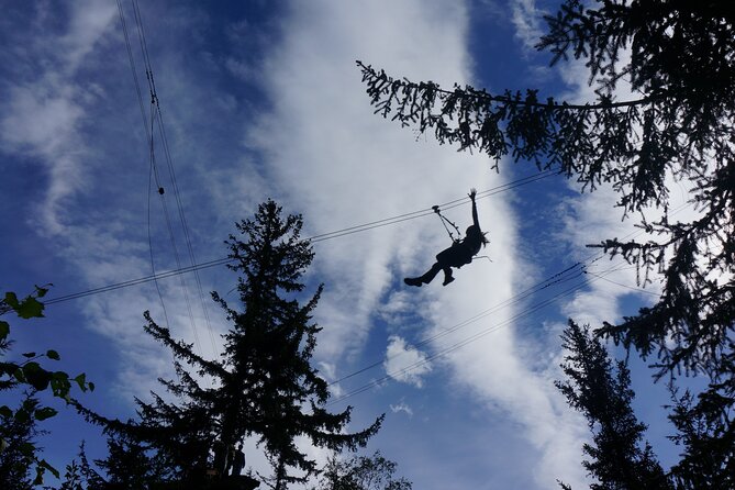 Adventure Parks & Zipline Tour - What to Expect on the Adventure