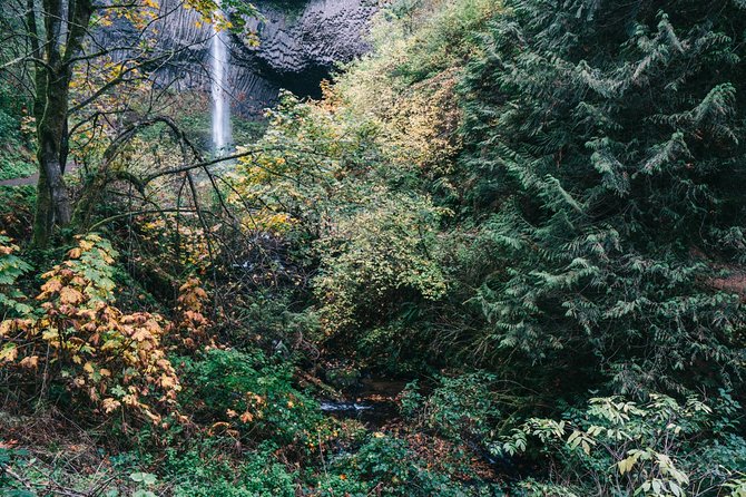 Afternoon Multnomah Falls and Gorge Waterfalls Tour - Accessibility Features
