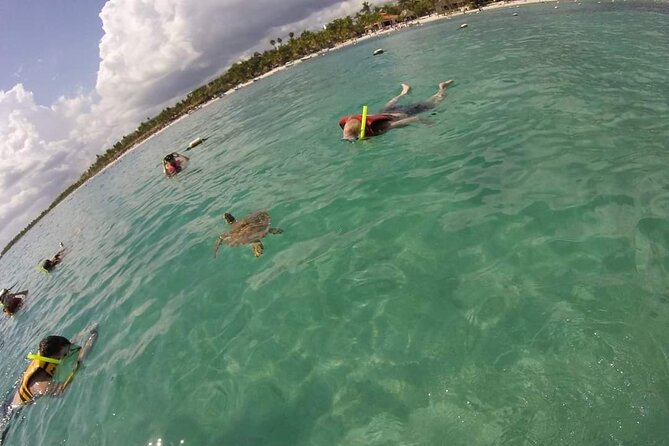 Akumal ,turtles and Gopro - Preparing for Your Adventure