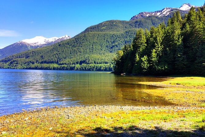 Alaska Bears and Silver Bay Homestead - Discovering the Silver Bay Homestead