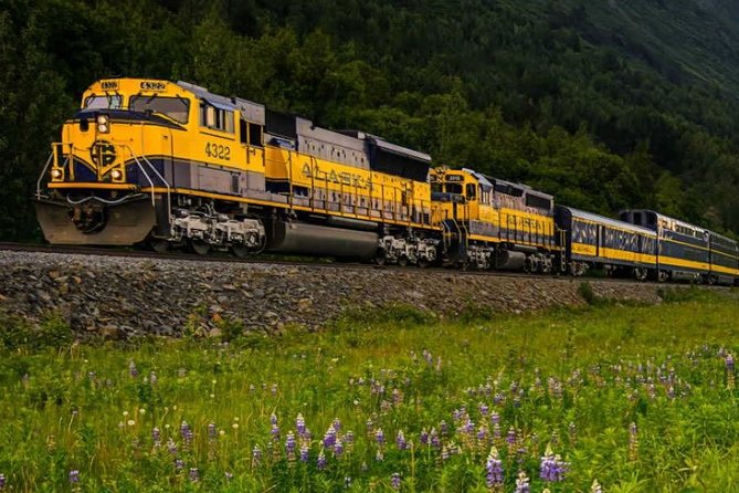 Alaska Railroad Anchorage to Denali One Way - Traveler Guidelines and Reviews