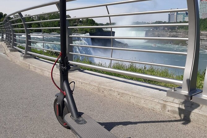 All Day Electric Scooter Rental - Customer Reviews and Experiences
