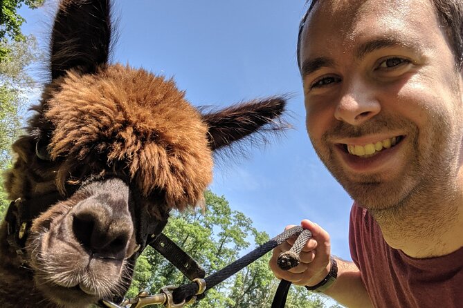 Alpaca and Llama Trek in Pleasant Valley - Frequently Asked Questions