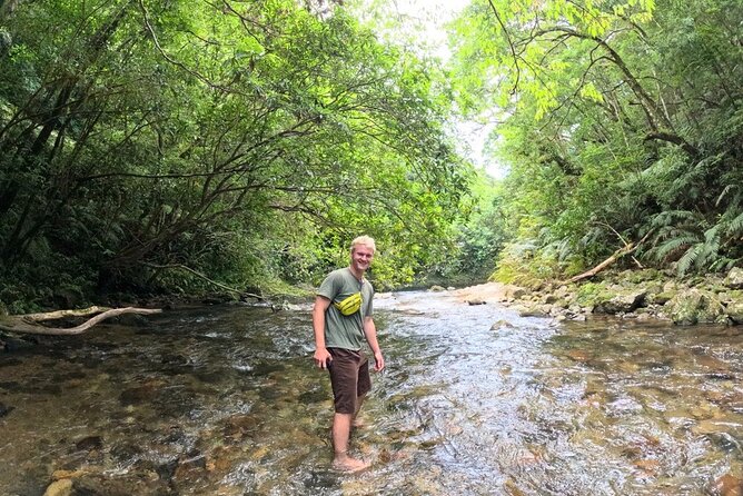Amami Oshima Mangrove Kayaking, Waterfall and Cape Walking Tour - Inclusions and Exclusions
