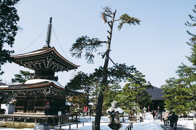 Amanohashidate and Miyama One Day Tour From Osaka and Kyoto - Breathtaking Destinations