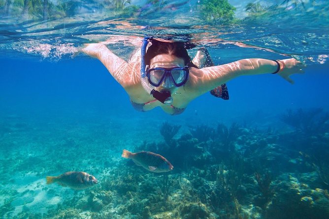 Amazing Snorkeling Experience in Cancun - Tips for an Enjoyable Experience