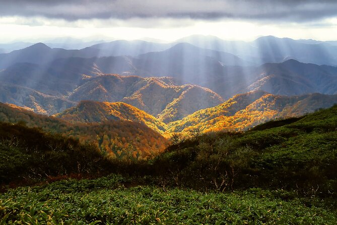 Aomori Private Customizable 6-Hour Tour - Enhancing Your Tour Experience