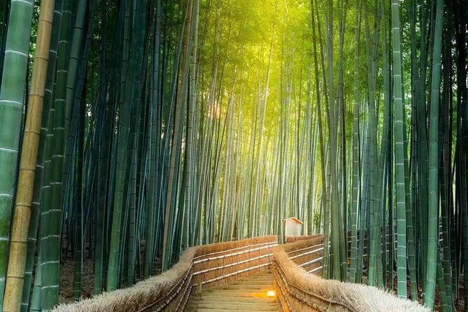 Arashiyama, Sanzenin and Bamboo Forest Day Tour From Kyoto/Osaka - Accessibility and Requirements