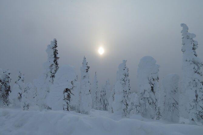 Arctic Circle Aurora Drive Adventure - Exploring the Dalton Highway