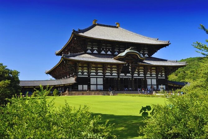 Arima Onsen, TōDai-Ji, Kobe Sanda Outlets & Nara Park From Osaka - Transportation and Meeting Point