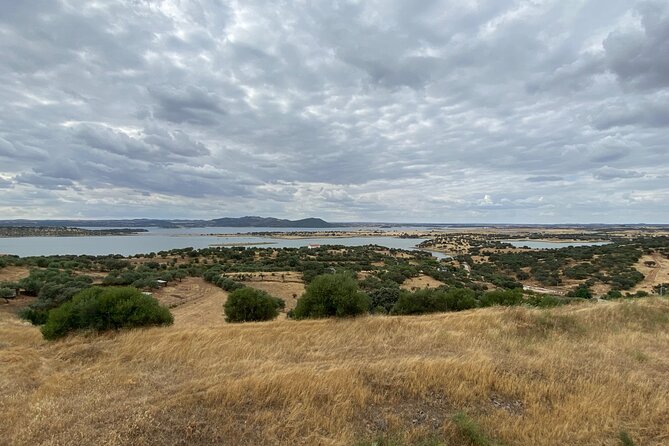 Arrábida & Évora Tour in Mercedes Benz Car or Van - Inclusions and Accessibility