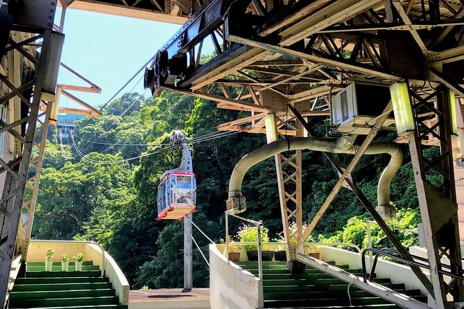 Atami Full-Day Private Tour With Government-Licensed Guide - Accessibility