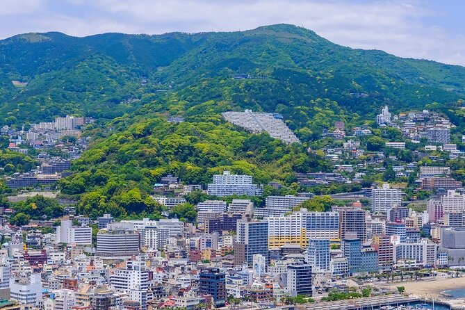 Atami Half-Day Private Tour With Government-Licensed Guide - Meeting and Pickup Details