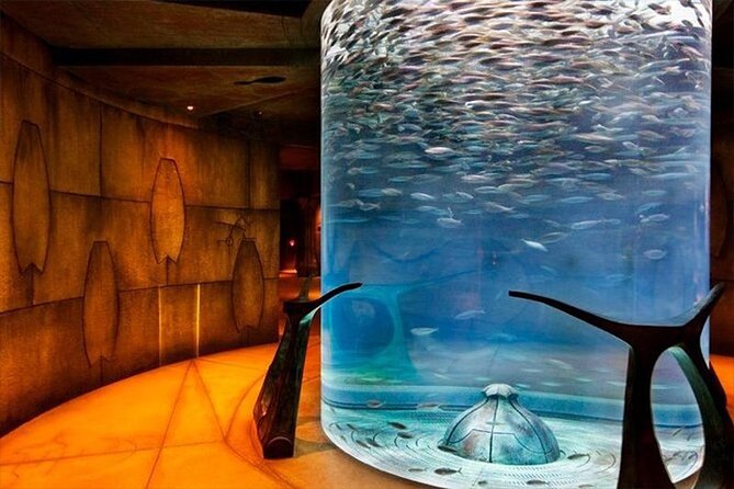 Atlantis Lost-Chamber Aquarium Dubai - Visitor Reviews and Ratings