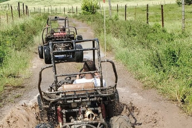 ATV Jungle Ride Adventure in Montego Bay With Transportation - Safety and Equipment Provided