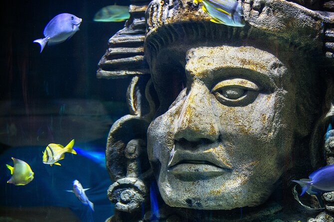 Audubon Aquarium & Insectarium Ticket - Visitor Experiences