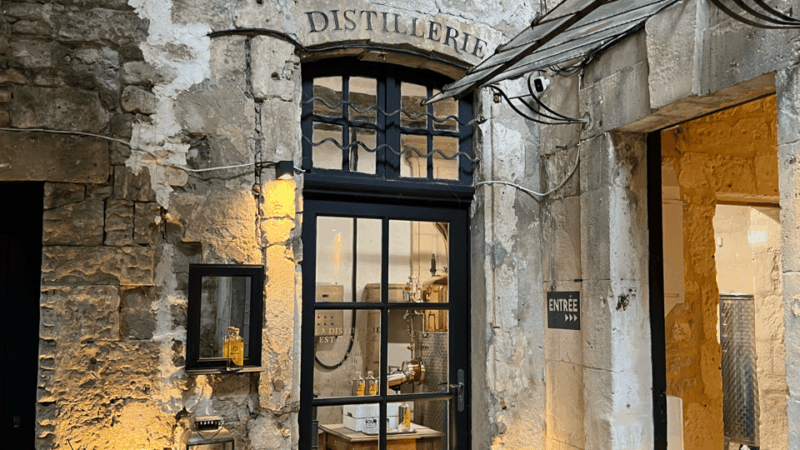 Authentic Provence: Arles, St Rémy, Les Baux-de-Provence - Transportation and Accessibility