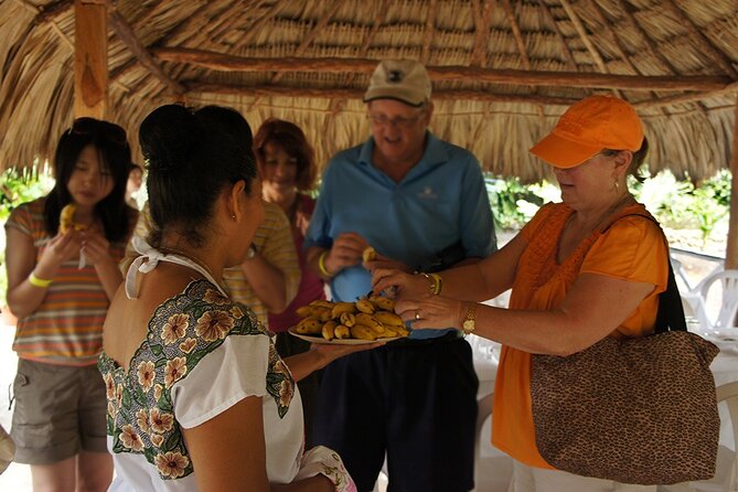 Bacalar Seven Color Lagoon and Mayan Experience From Costa Maya - Transportation and Logistics