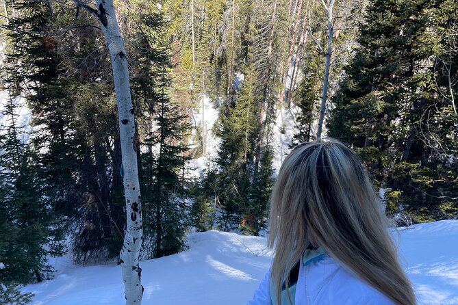 Backcountry Snowshoeing in Pristine Utah Mountains - Insights Into the Local Natural History