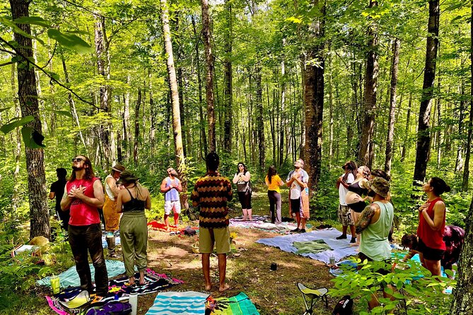 Bainbridge Island Serenity Forest Tour Review - Cultural and Natural Highlights of the Tour