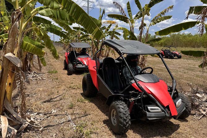 Bamboo Dune Buggy Tour - Pricing and Booking