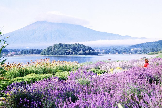 Barrier-Free Private Mt. Fuji Tour for Wheelchair Users - Music Forest Museum