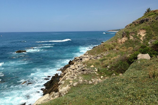 Beaches Dolphins And Viewpoints Discovering The Hidden Port By Sea And Land - Mezcal Tasting Experience